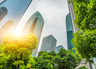 Nepričakovan način za zmanjšanje nasilnega kriminala? Zmanjšanje nasilja? Odgovor je ozelenitev