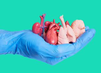 Črni trg s človeškimi organi: Kaj smo storili, da bi ga preprečili? Črni trg za preprodajo človeških organov