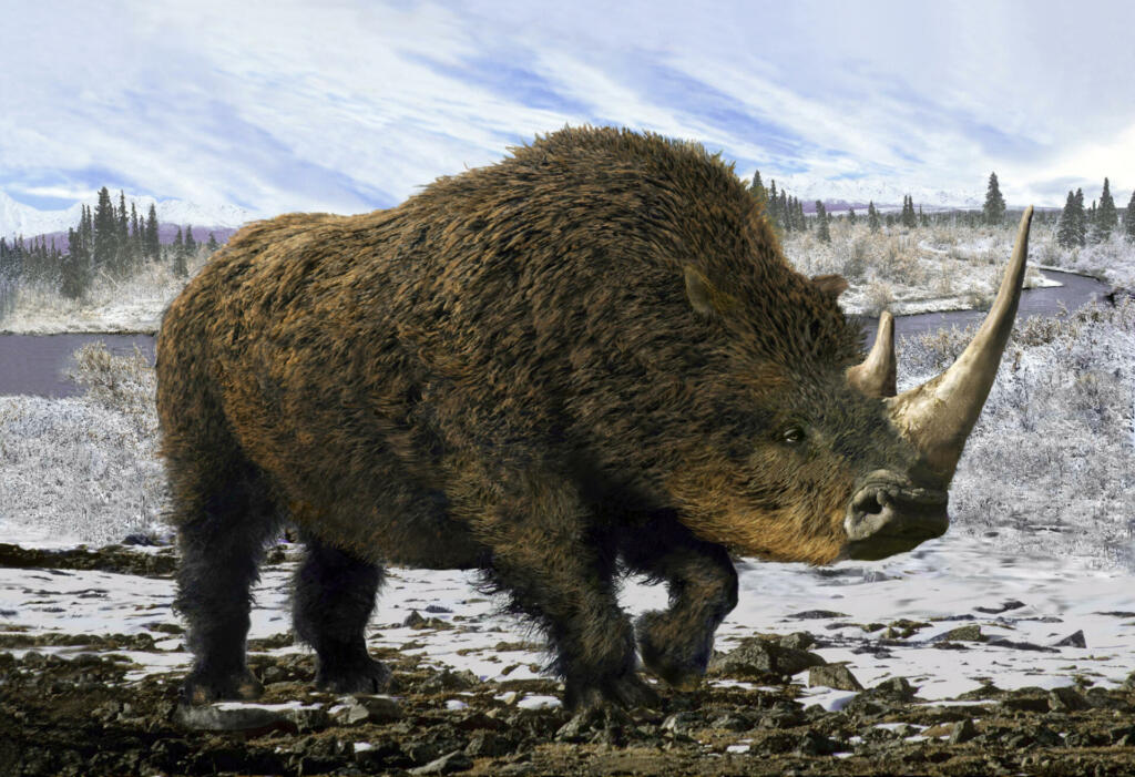Collage representative of the Pleistocene - woolly rhinoceros in the background of the winter tundra.