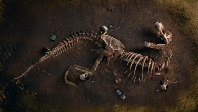 Največja paleontološka odkritja leta 2023