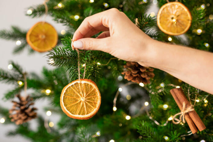 Female hands hanging dried orange slices on Christmas tree. Christmas preparation, zero waste, natural decor, aromatherapy