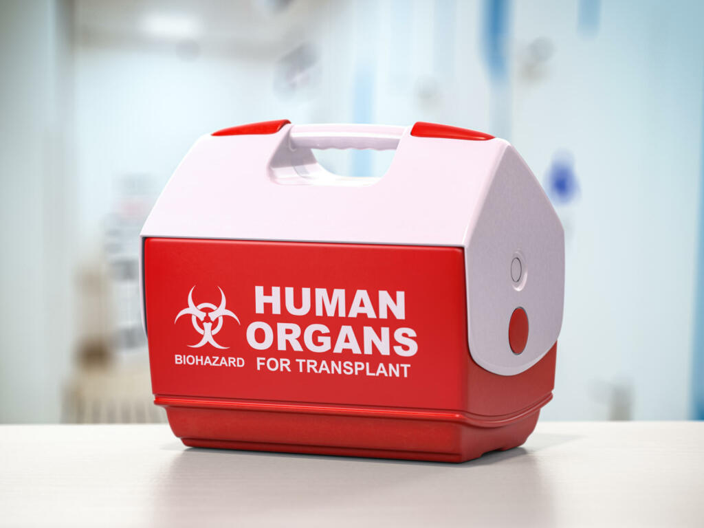 Human organ for transplant refrigerator box. 3d illustration