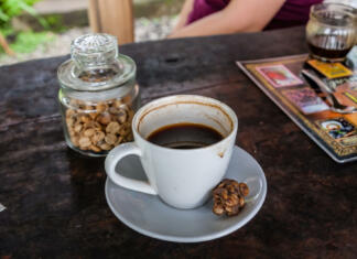 Skrb vzbujajoča skrivnost najdražje kave na svetu: Kopi Luwak Kava kopi luwak in skrivnost, ki jo nosi