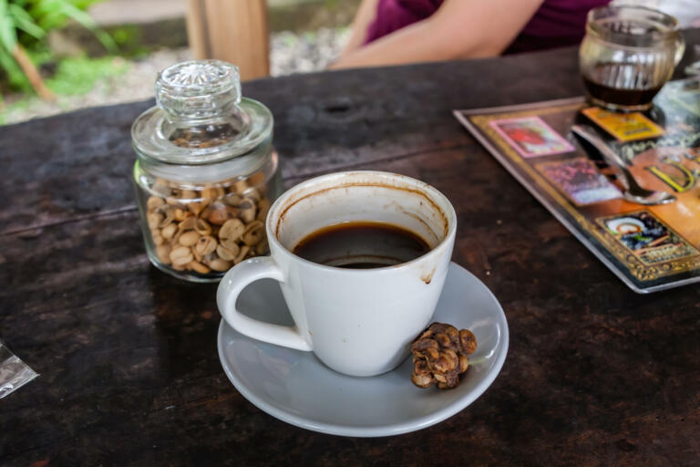 Skrb vzbujajoča skrivnost najdražje kave na svetu: Kopi Luwak