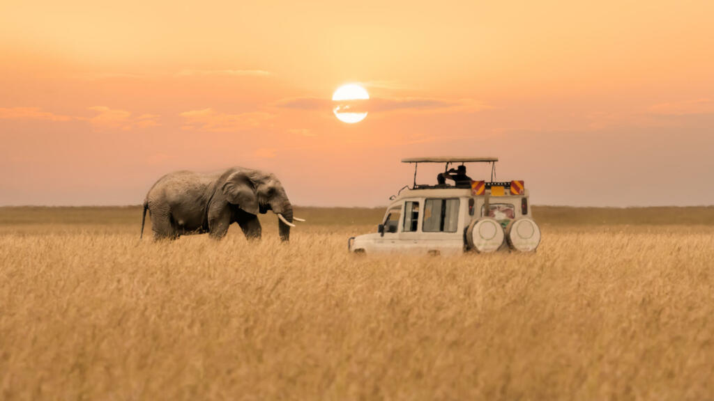 Koliko držav ima Afrika?