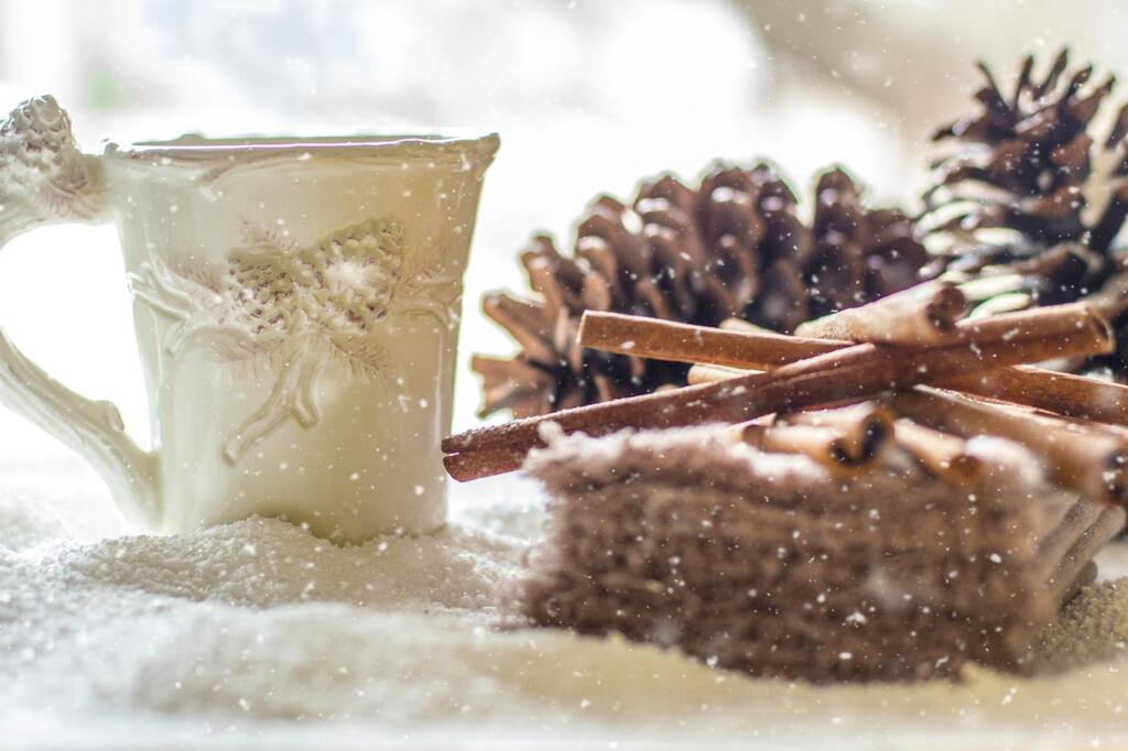 pine cones, snow, winter