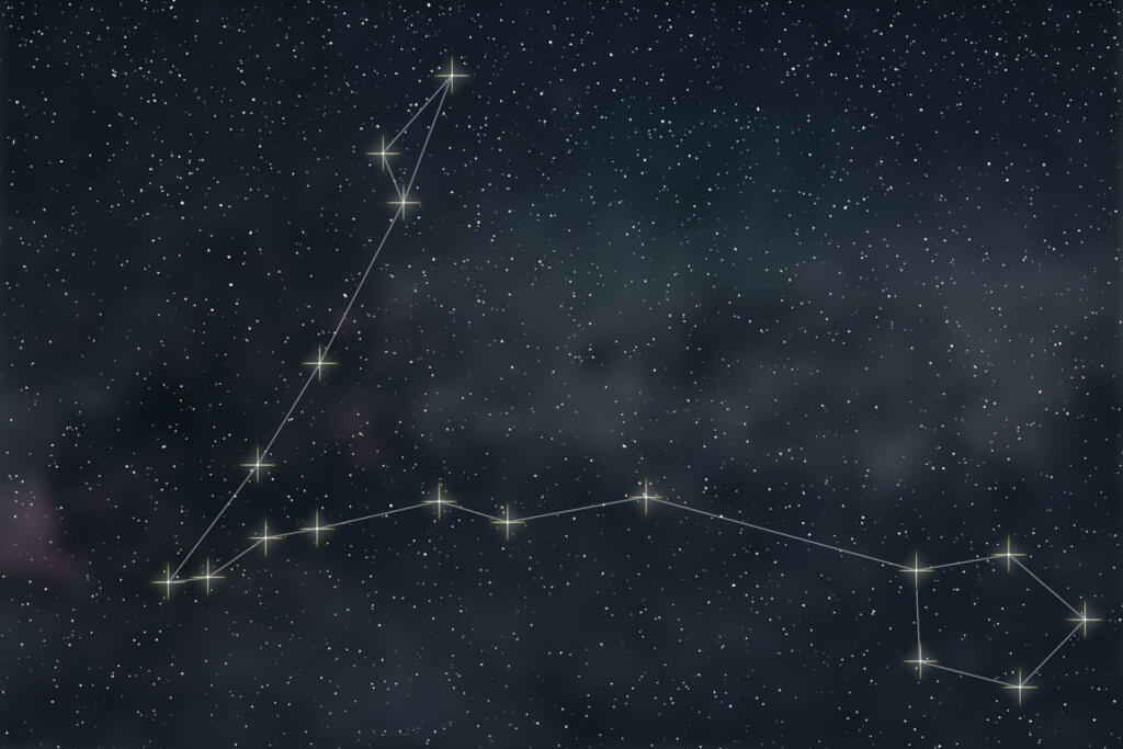 Pisces Constellation. Zodiac Sign Pisces constellation lines