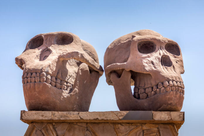 Serengeti, Tanzania 18.09.2022: Olduvai Gorge Museum (Ngorongoro Conservation Area). Statue on the entrance. Skulls of Paranthropus (left) and Homo Habilis (right).