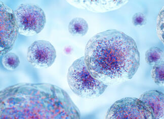 Lahko kokoš spremenimo v žabo? Znanstveniki pravijo … White blood cells with nucleus and granule . Transparency cell membrane . Medical and science concept background . 3D render .