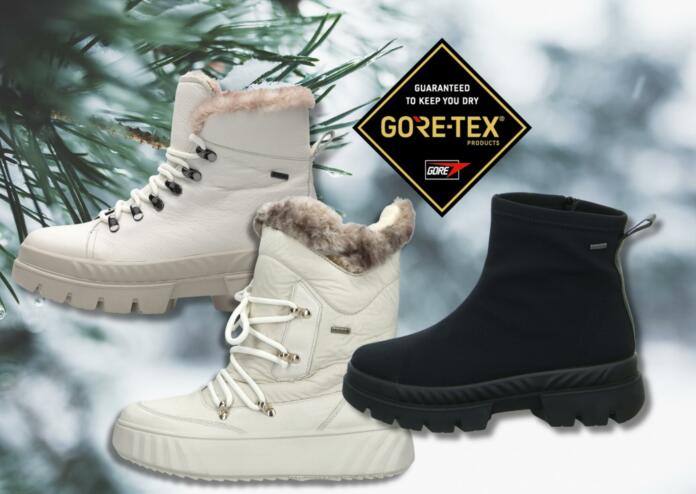 ara gore-tex