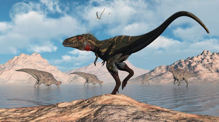 Videz Nanotiranusa, zdaj ponovno uradno nove vrste dinozavrov