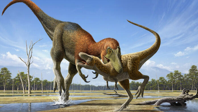 Nova vrsta ali le mladič Tiranozavra Rexa