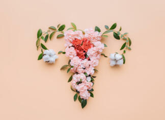 Moč menstruacije: Povezanost s ciklično energijo ženske Abstract image of the uterus. female reproductive system made up of flowers and leaves. uterus conceptual image.