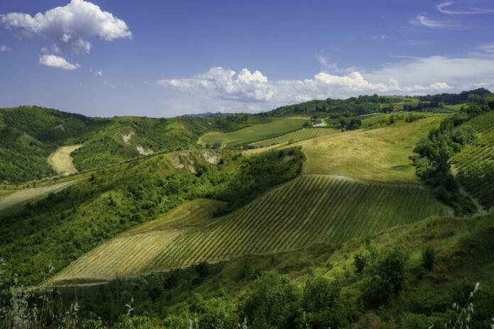 Country landscape on the hills in the Ravenna province, Emilia-Romagna, Italy, near Riolo Terme and Brisighella, at springtime