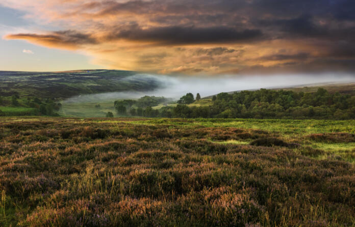 Dawn mist over the North York Moors national park shot in autumn (fall) when the heather is in full bloom near the village of Goathland, north Yorkshire, UK.