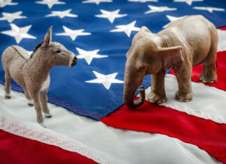 Vodič po volitvah v ZDA: Kako potekajo ameriške volitve? Kako v ZDA potekajo predsedniške volitve?