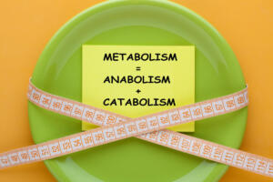 Metabolism concept diagram on note in plate with measuring tape. Human energy