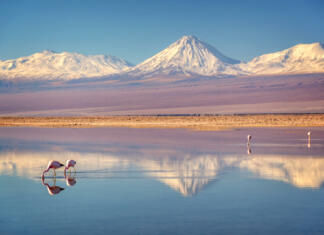 Najbolj razburljive destinacije leta 2024: 2. del – Amerika Snowy Licancabur volcano in Andes montains reflecting in the wate of Laguna Chaxa with Andean flamingos, Atacama salar, Chile
