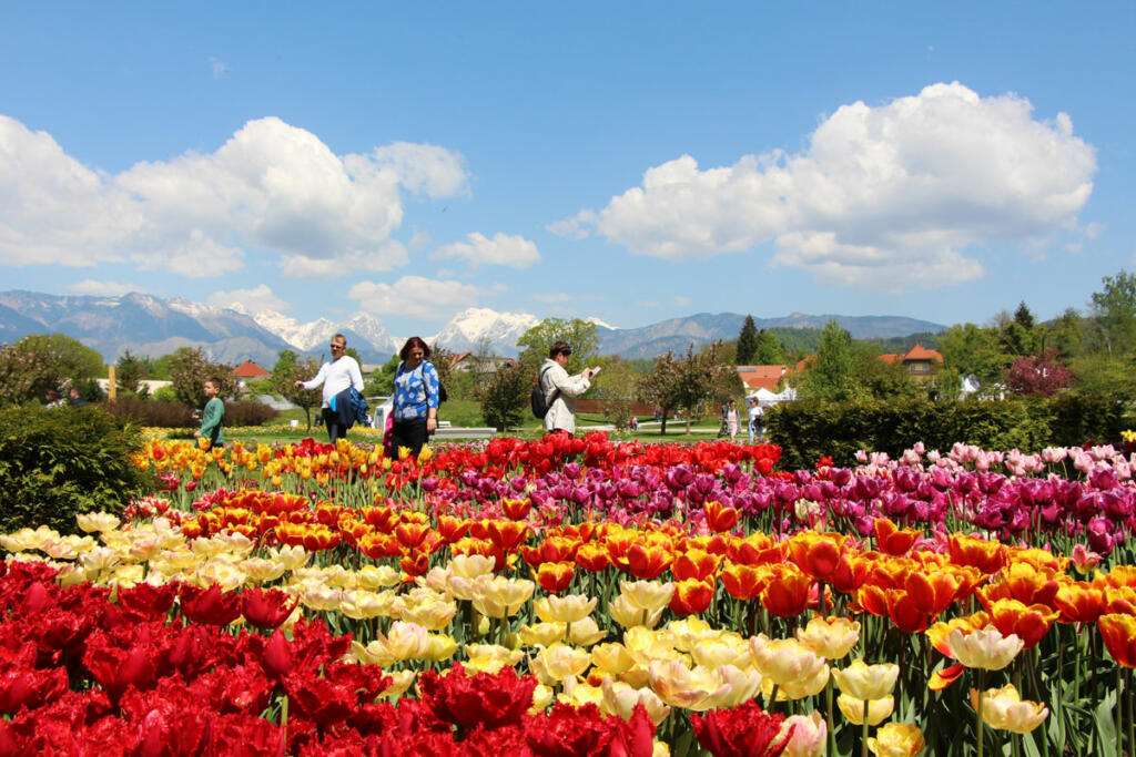 Arboretum Volčji Potok