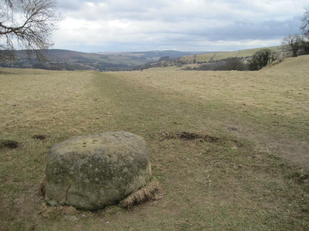 Fotografija mejnega kamna v bližini vasi