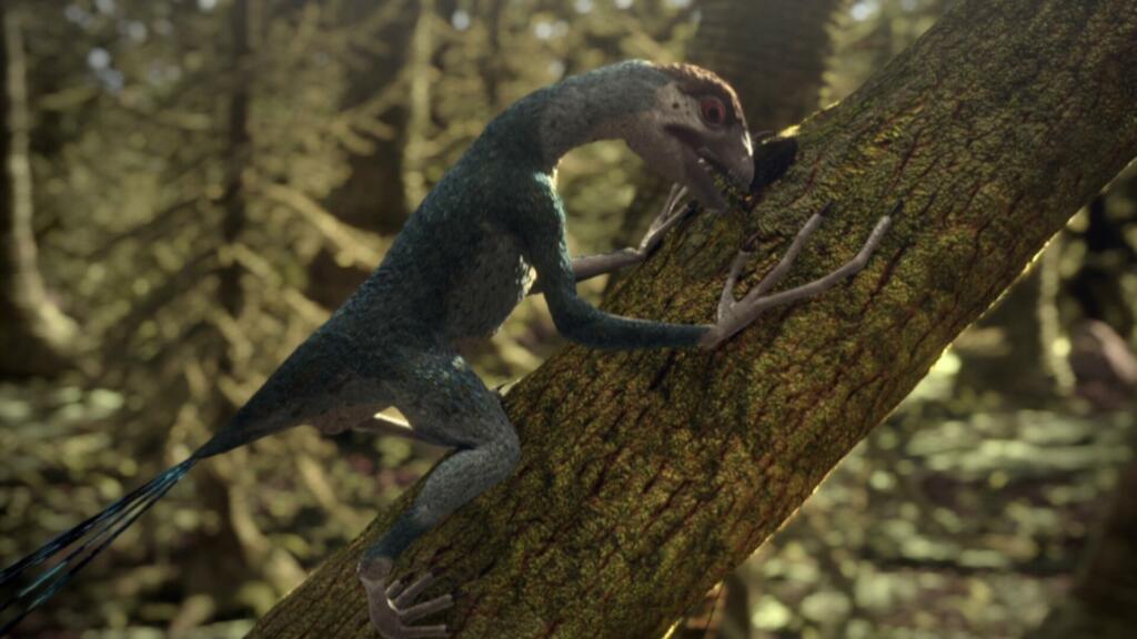 Epidexipteryx