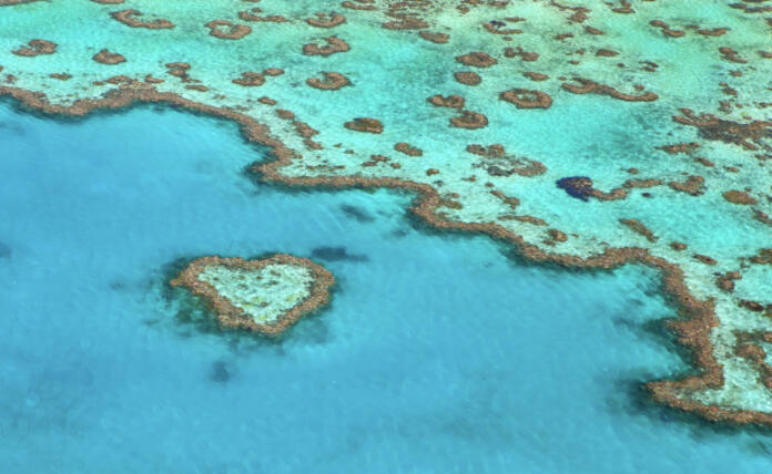 Koralni greben v obliki srca