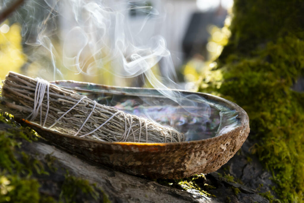 A close up image of a burning white sage smudge stick and abalone shell resting on a tree branch.