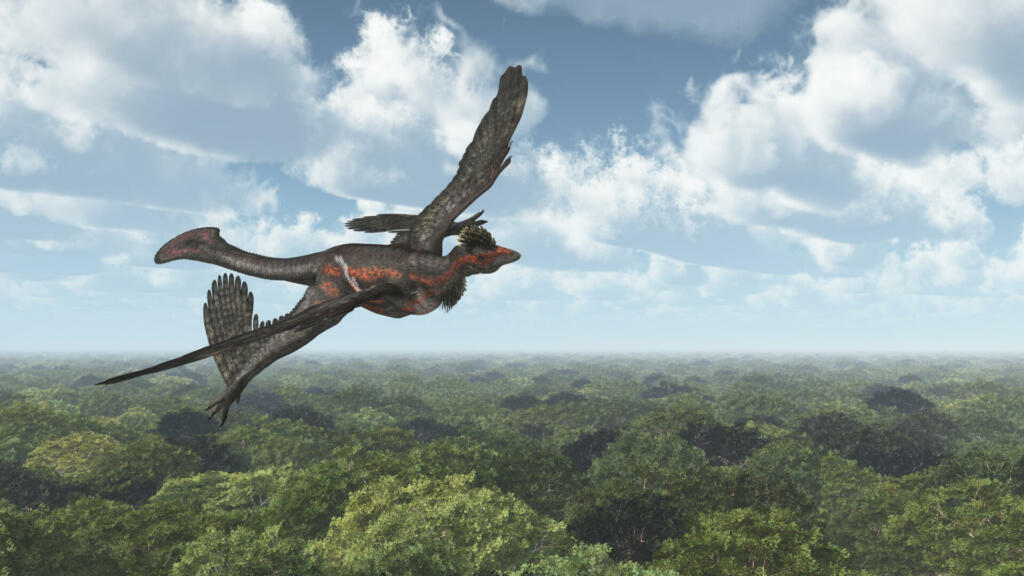 Computergenerierte 3D Illustration with the dinosaur Microraptor