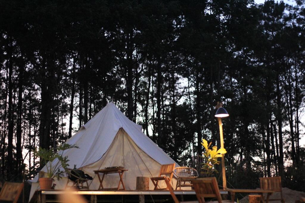 glamping, camping, tent