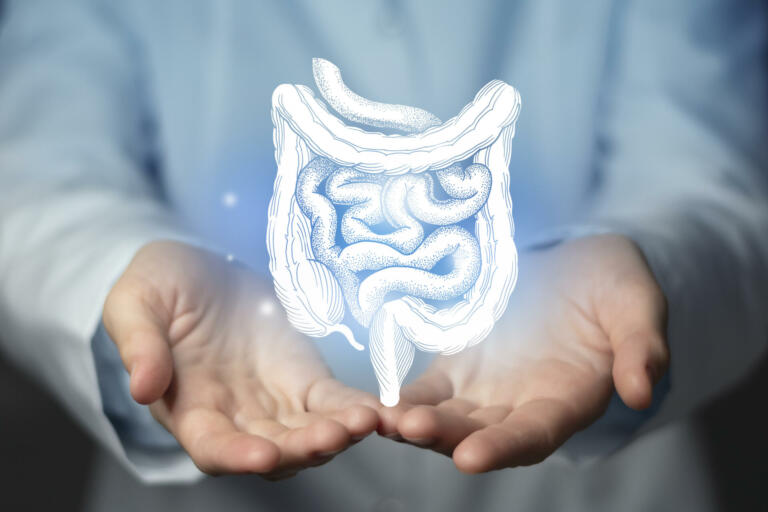 Kaj sploh pomeni izraz metabolizem?