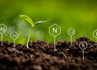 Ta kemijski element je ključen za življenje, kmetijstvo in industrijo! Kemijski element dušik in njegova vloga na našem planetu
