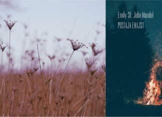 Zakaj bi morali prebrati knjigo Postaja Enajst? Knjiga Postaja Enajst