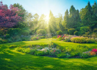 7 zanimivosti o pomladi beautiful spring garden with flowers and lawn grass, 3D illustration