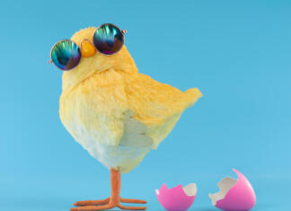 Velika noč: številke in zabavna dejstva Easter decoration of a yellow chick wearing silly sunglasses with a pink cracked, hatched Easter egg.