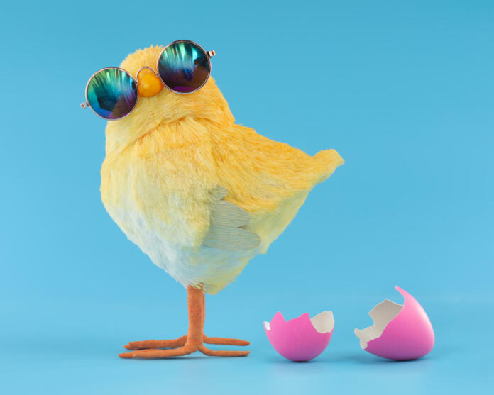 Easter decoration of a yellow chick wearing silly sunglasses with a pink cracked, hatched Easter egg.