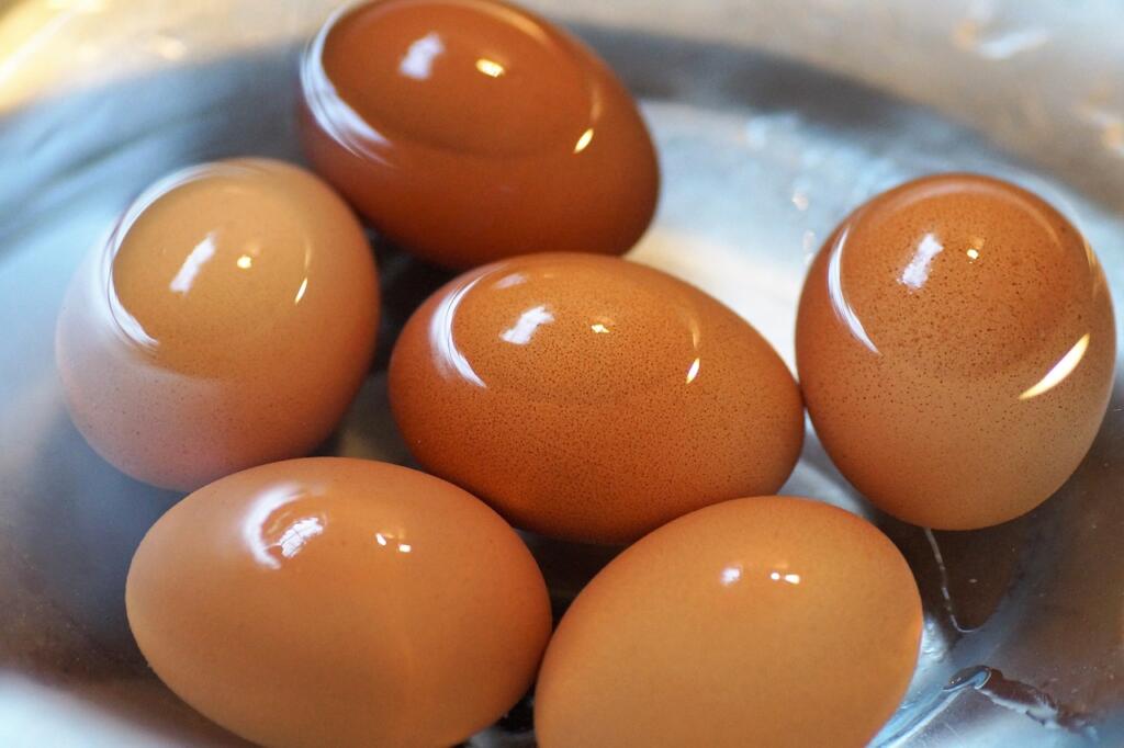 egg, brewed, on