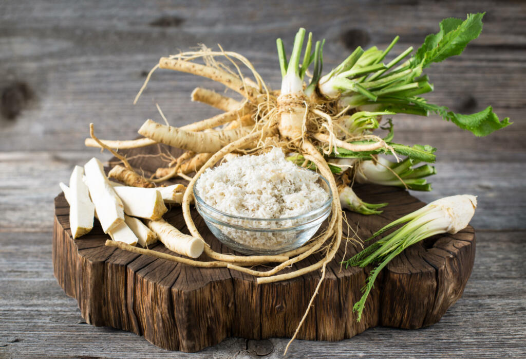 Fresh organic horseradishes on the wooden table