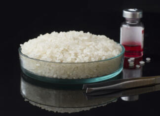 Laboratorijska hrana: V slabih dveh tednih do hibridne hrane Laboratorijsko vzgojena hrana