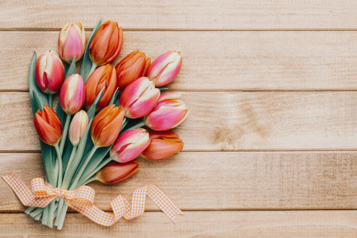 Spring greetings card with tulips for Easter, Mother's Day.