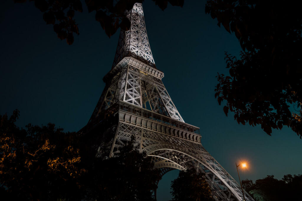 Tree Framed Eiffel Tower in Paris, France