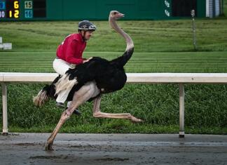 Najbolj nenavadni hobiji, zaradi katerih boste ostali odprtih ust Najbolj nenavadni hobiji