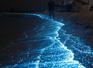 Neverjetni fenomeni narave, ki jih lahko občudujemo v živo Neverjetni fenomeni narave, ki si jih lahko ogledamo