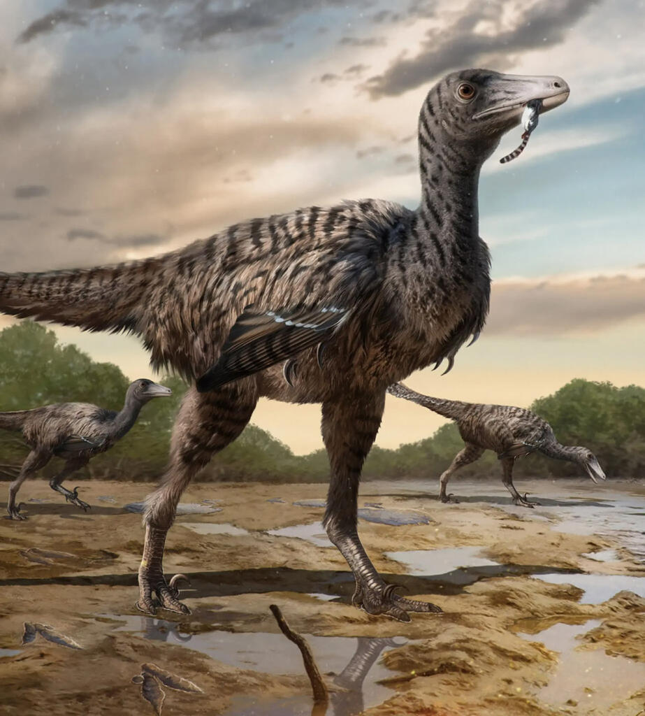 Nova vrsta dinozavrov po imenu Fujianipus yingliangi