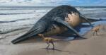 Velikanski ihtiozaver bi lahko bil največji morski plazilec v zgodovini