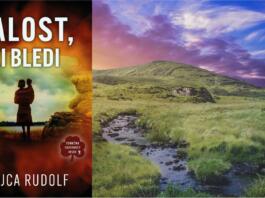 Žalost, ki bledi: Mojca Rudolf