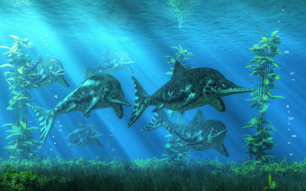 A school of Ichthyosaurs swims over a bed of seaweed in the Jurassic seas.  Though they may look like dolphins, they are reptiles, and they swam the oceans in the time of the dinosaurs. 3D Rendering