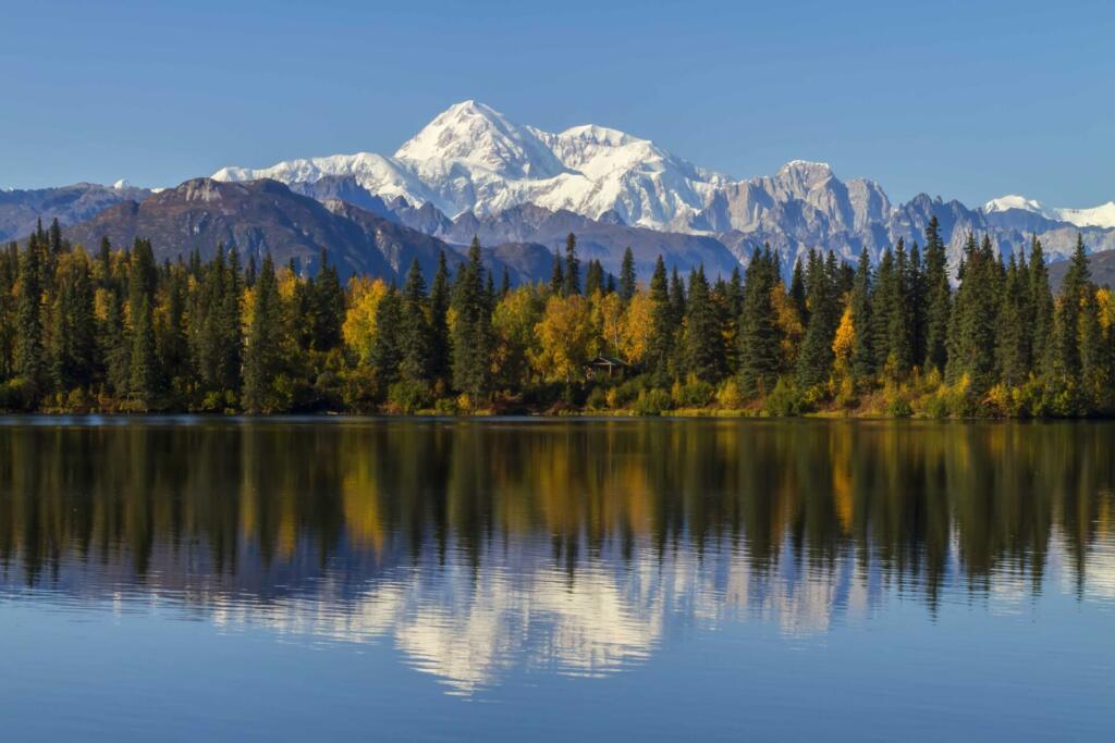 Byers Lake, Alaska is the closest view to Mount McKinley without being on the mountain. During the fall color change in September this area explodes with yellow as the tree's change and prepare for winter's arrival. Mount McKinley is North America's tallest mountain at 20,320'.