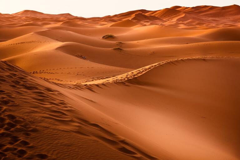 Peščene sipine, ki so navdihnile uspešnico Dune