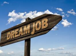 dream job, application, job