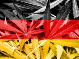Legalizacija konoplje v Nemčiji